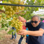 Image-2024-01-17-at-09.01.26